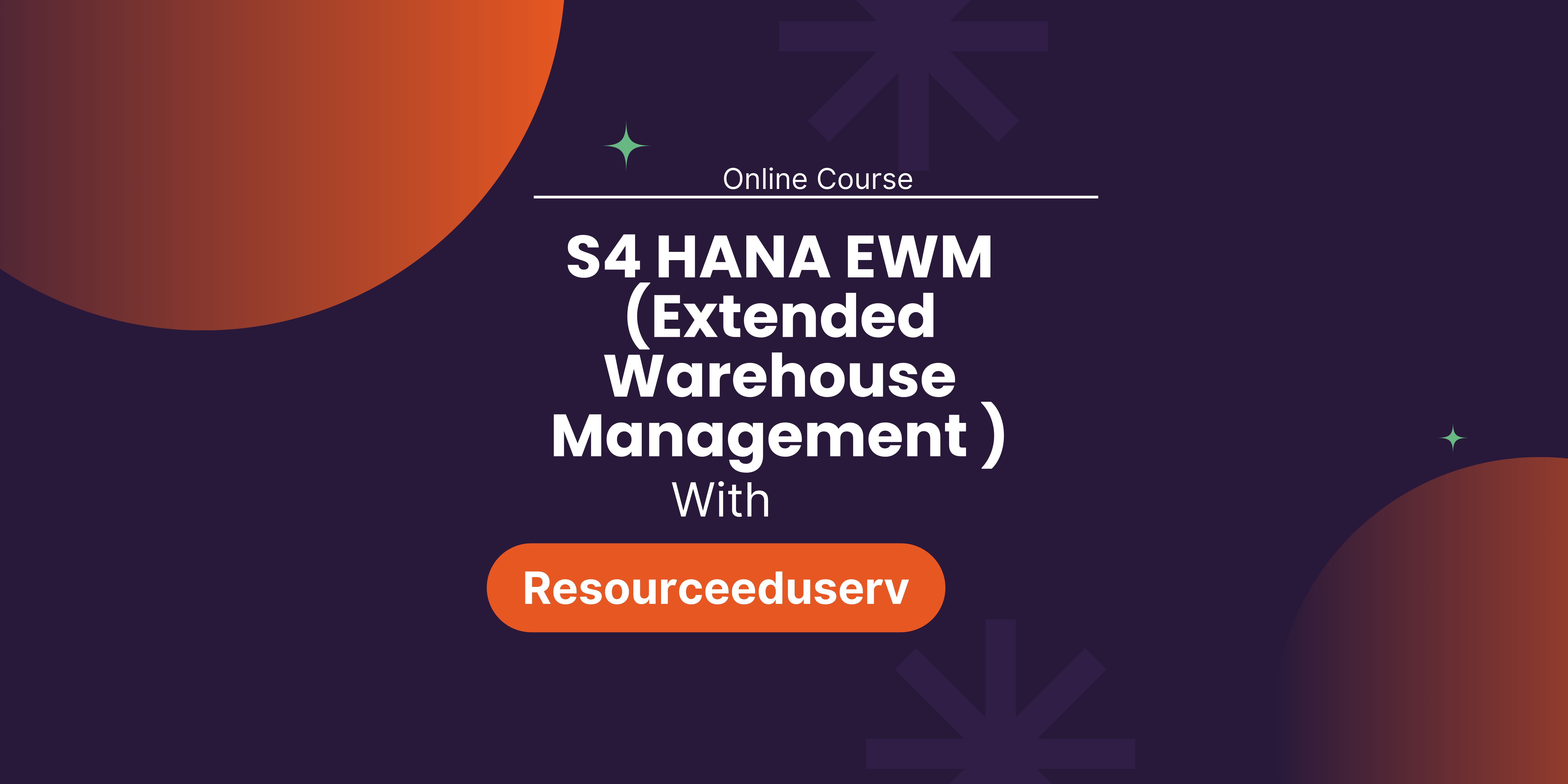 S4 HANA EWM (Extended Warehouse Management )